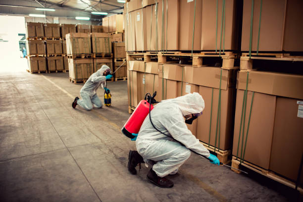 Best Residential Pest Control  in Mallory, WV