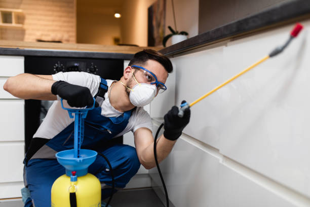 Best Best Pest Control Companies  in Mallory, WV