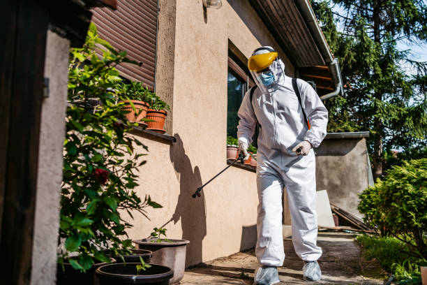 Best Ant Control Services  in Mallory, WV