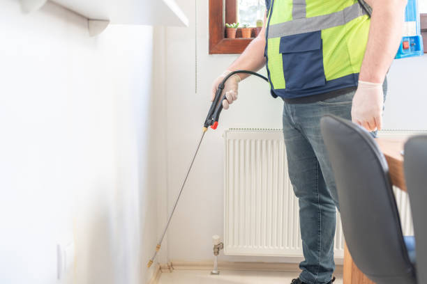 Best Pest Removal Services  in Mallory, WV
