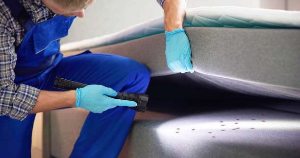 Best Pest Control for Homes  in Mallory, WV