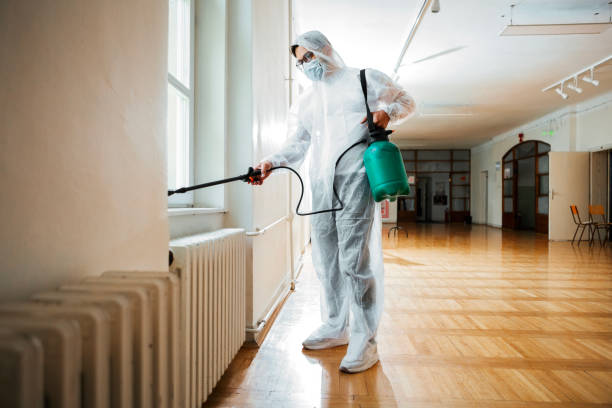 Best Pest Prevention Services  in Mallory, WV